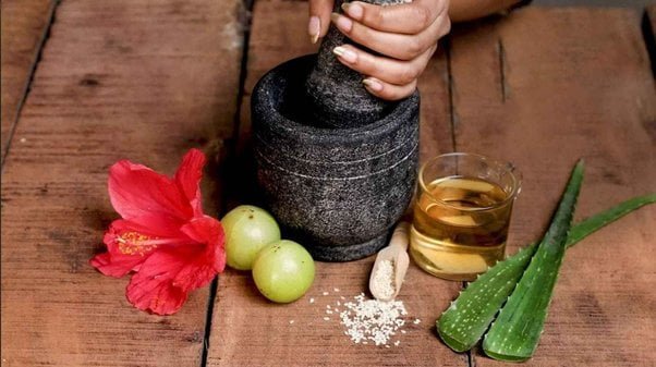 Ayurvedic Herbal Shampoo: गर्मी के मौसम में ऑयली बालों से छुटकारा पाने के लिए घर पर बनाएं आयुर्वेदिक हर्बल शैंपू, मिलेंगे कई फायदे