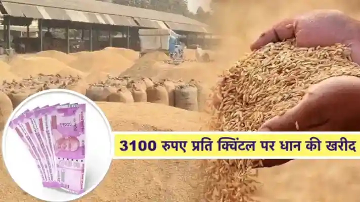 DHAN: किसानों के लिए बड़ी खबर! 3100 रुपये प्रति क्विंटल से शुरू होगी धान की खरीद,,साथ ही मिलेगा 500 रुपये प्रति क्विंटल का bonus