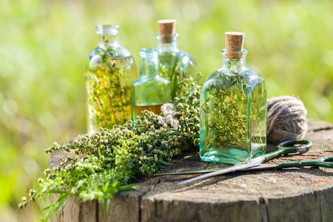 Herb Oil For Body Pain: छुटकी बजाते दूर होगा बरसों पुराना जोड़ों का दर्द! 84 चमत्कारी जड़ी-बूटियों से बना है यह तेल