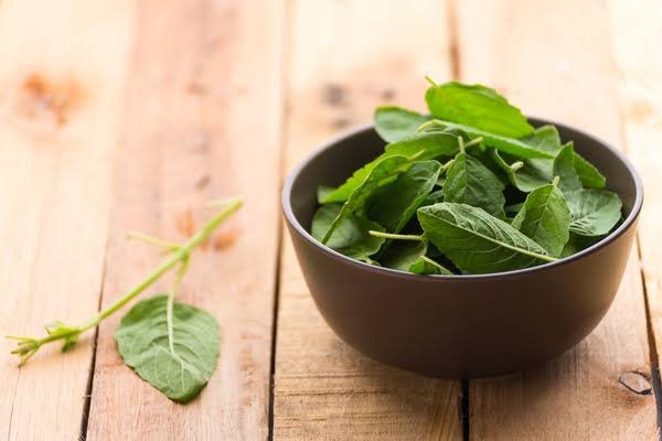 benefits of tulsi leaves: सुबह सुबह खाली पेट 2 तुलसी पत्ते चबाने से बच सकते हैं इलाज के लाखों रुपये, जानिए इसके गजब के फायदे