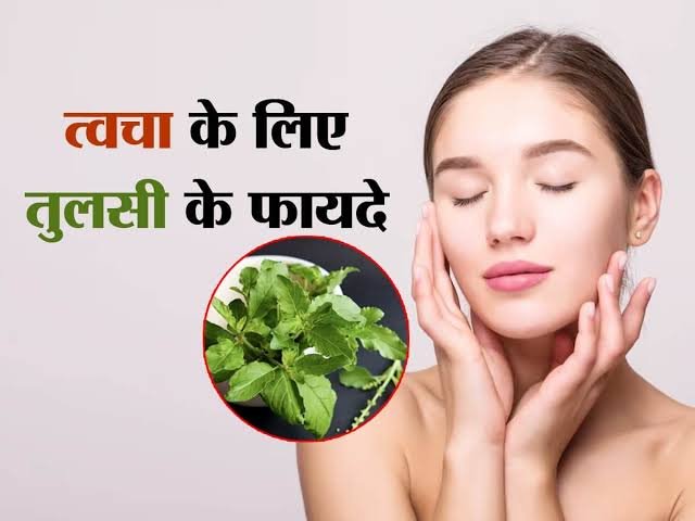 benefits of tulsi leaves: सुबह सुबह खाली पेट 2 तुलसी पत्ते चबाने से बच सकते हैं इलाज के लाखों रुपये, जानिए इसके गजब के फायदे