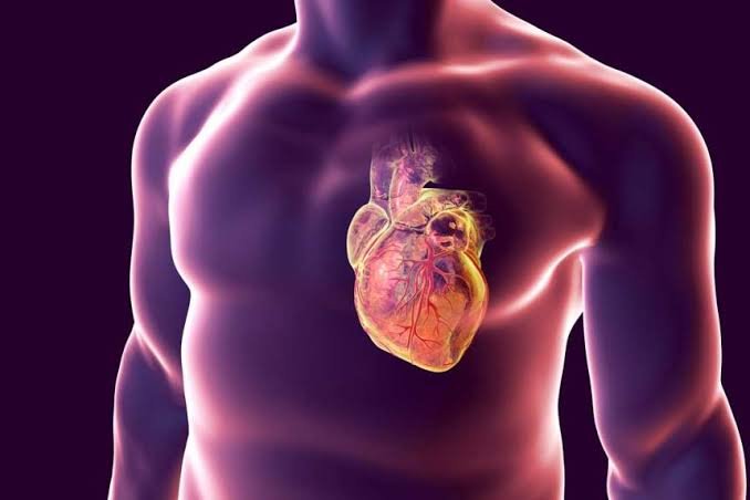 फिजिकल फिट होने के बाद भी युवाओं में बढ़ते Heart Attack के 3 प्रमुख कारण