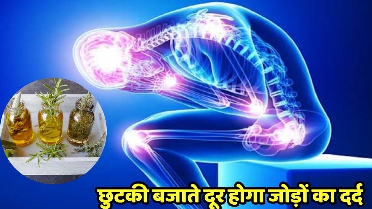 Herb Oil For Body Pain: छुटकी बजाते दूर होगा बरसों पुराना जोड़ों का दर्द! 84 चमत्कारी जड़ी-बूटियों से बना है यह तेल
