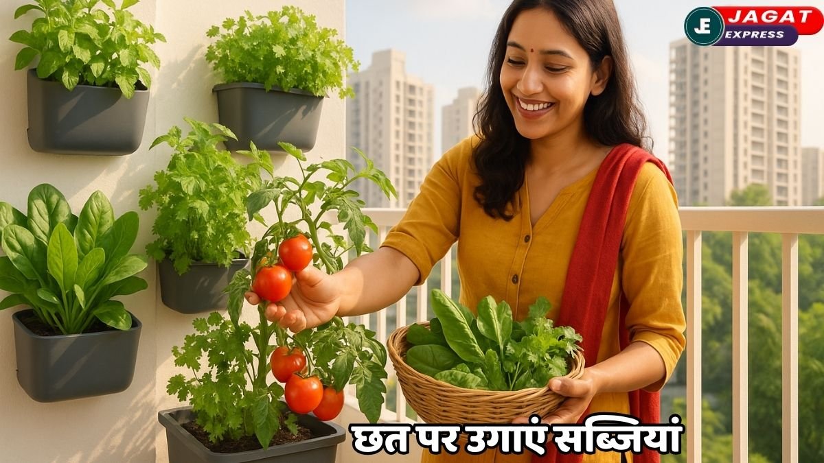 Urban Farming India: ताज़ी सब्ज़ियाँ सीधे आपकी बालकनी से! शहरी खेती का जादू