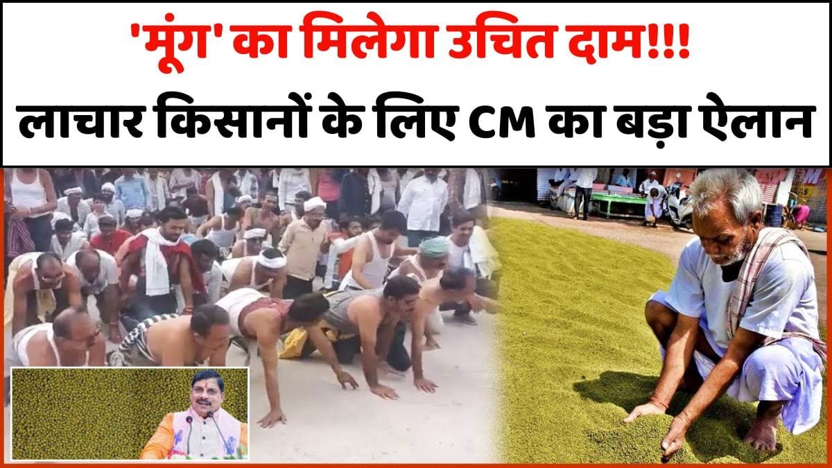 मंडियों में किसानों को 'मूंग' का मिलेगा उचित दाम!!! लाचार किसानों के लिए मुख्यमंत्री डॉ. मोहन यादव का बड़ा ऐलान