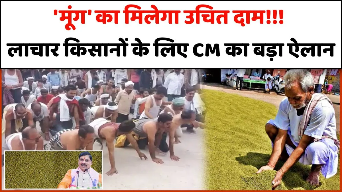 मंडियों में किसानों को 'मूंग' का मिलेगा उचित दाम!!! लाचार किसानों के लिए मुख्यमंत्री डॉ. मोहन यादव का बड़ा ऐलान