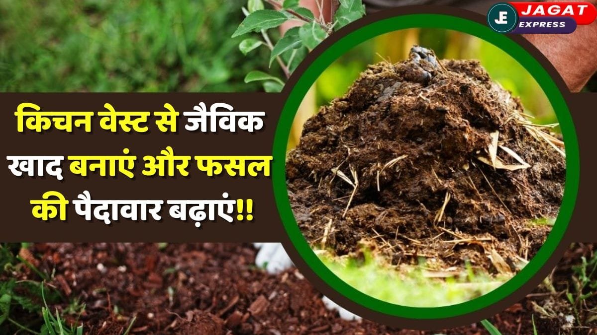 किचन वेस्ट से जैविक खाद बनाएं और फसल की पैदावार बढ़ाएं!! घर पर तैयार करें असरदार ऑर्गेनिक खाद