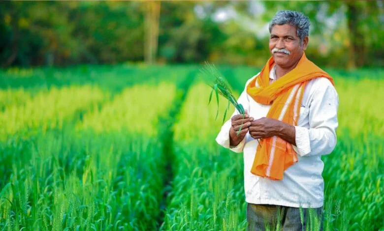 AgriStack Portal: किसानों के लिए अलर्ट! अगर बेचना है धान तो पहले इस पोर्टल पर करना होगा रजिस्ट्रेशन