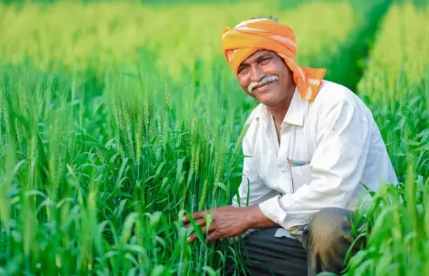 35 लाख किसानों के खाते में पहुंचे PM Fasal Bima Yojana के 3900 करोड़, जल्दी करें खरीफ बीमा की डेडलाइन नजदीक