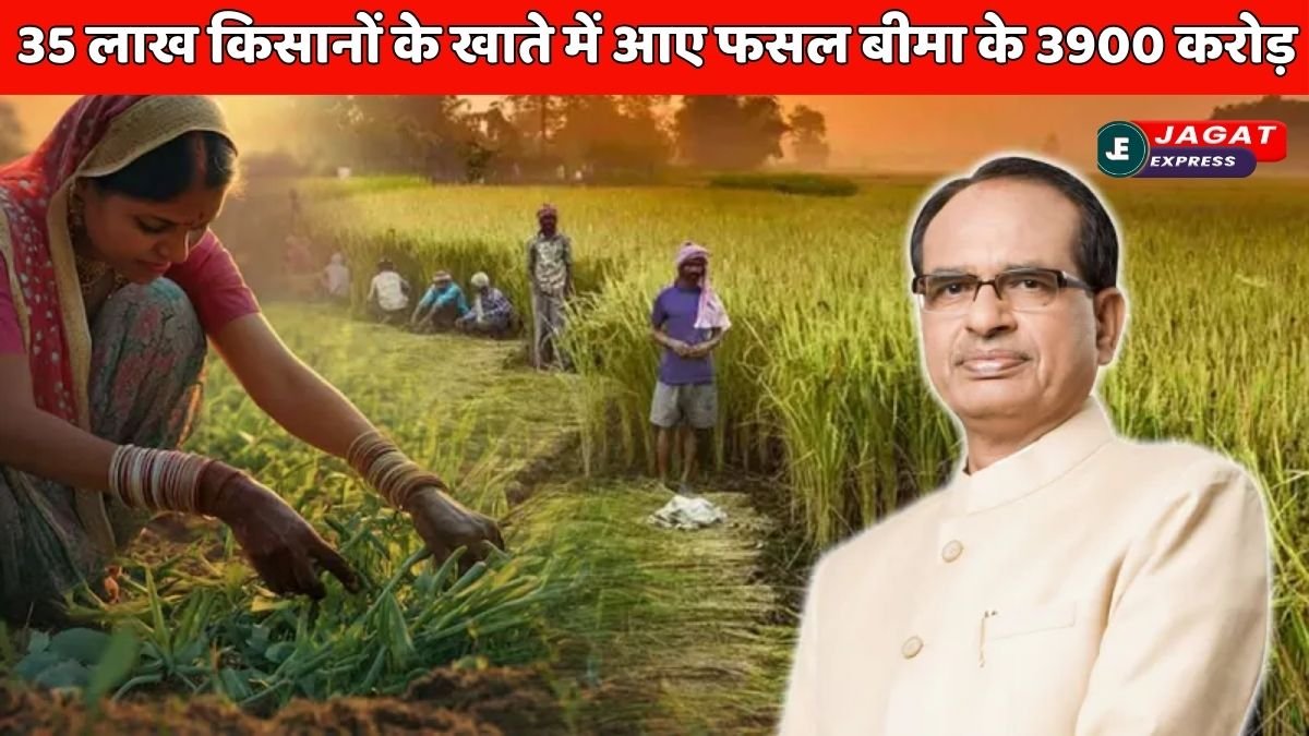 35 लाख किसानों के खाते में पहुंचे PM Fasal Bima Yojana के 3900 करोड़, जल्दी करें खरीफ बीमा की डेडलाइन नजदीक